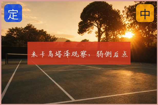 米卡乌塔泽观察，弱侧后点
